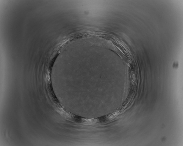 X0000098020621200804251139