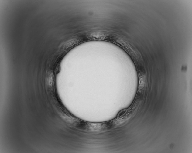 X0000098020623200804251139