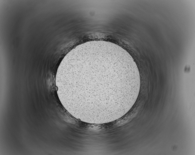 X0000098020624200804251139