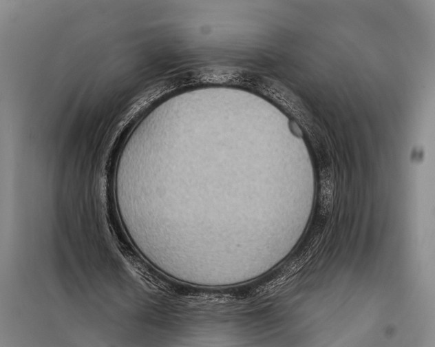 X0000098020626200804251138