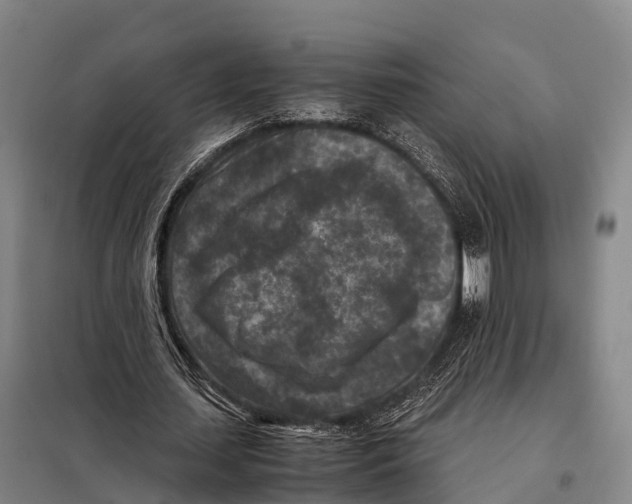 X0000098020627200804251138