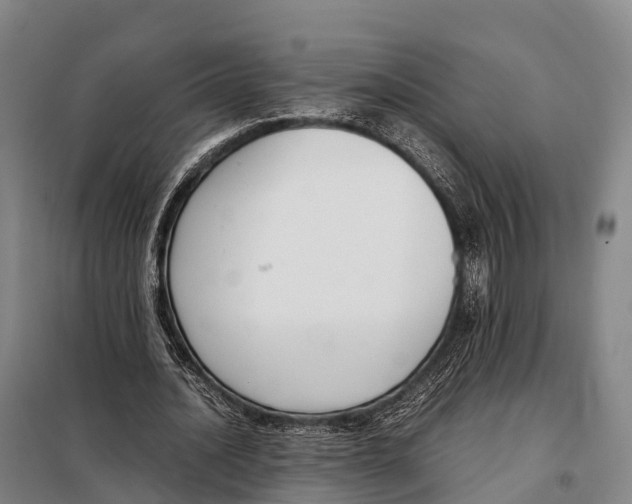 X0000098020628200804251138