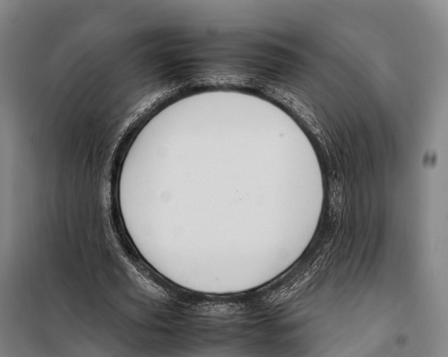 X0000098020629200804251138