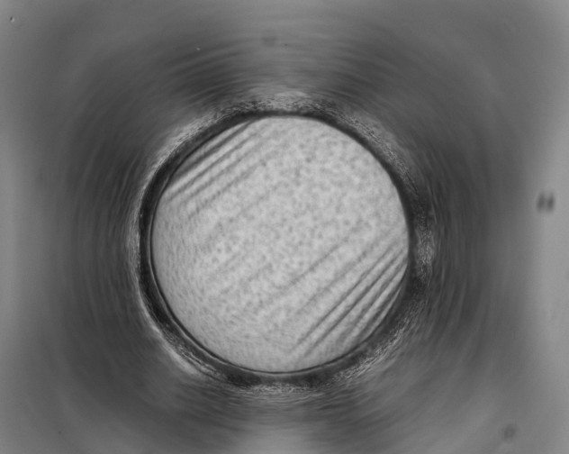 X0000098020630200804251138