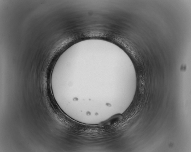 X0000098020631200804251138