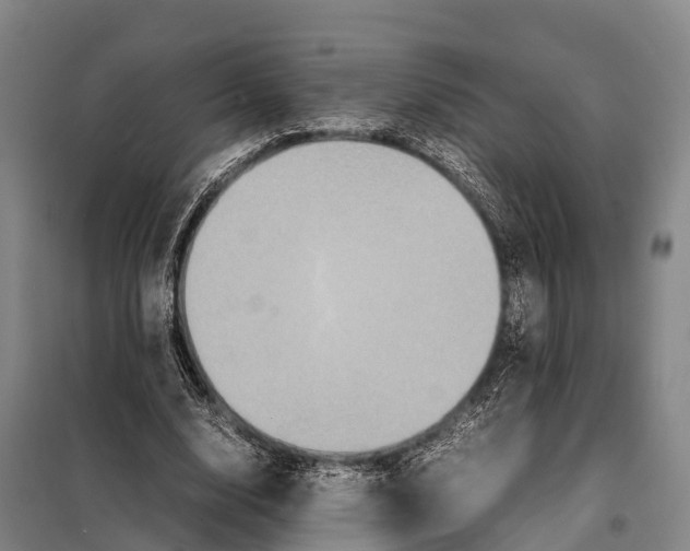 X0000098020632200804251138