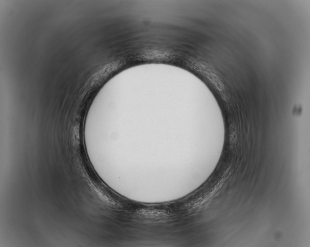 X0000098020633200804251138