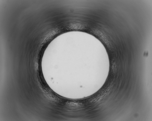 X0000098020635200804251138