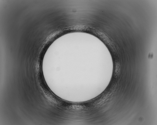 X0000098020636200804251138