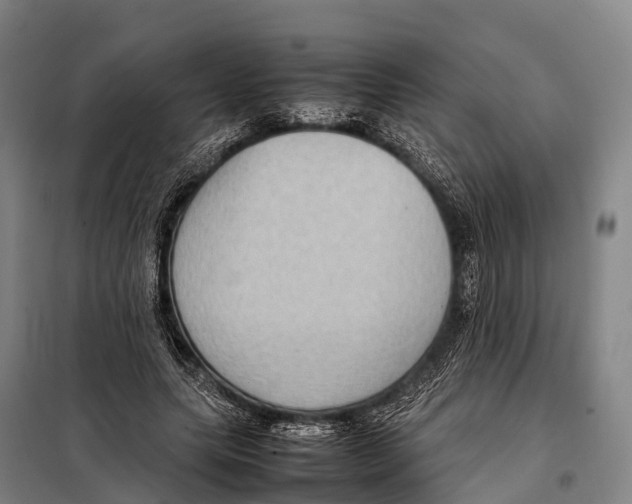 X0000098020639200804251138