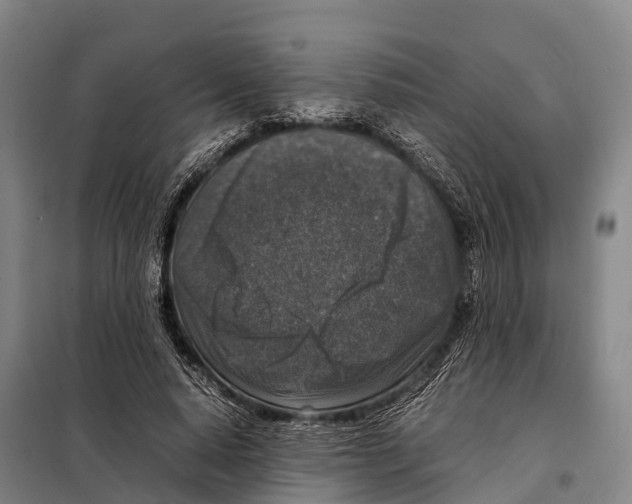 X0000098020640200804251138