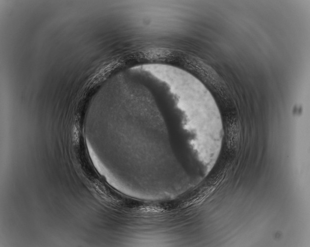 X0000098020644200804251138