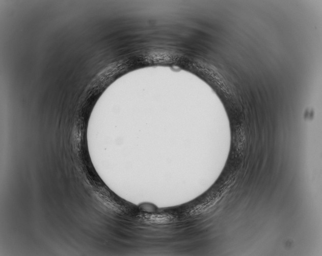 X0000098020645200804251138