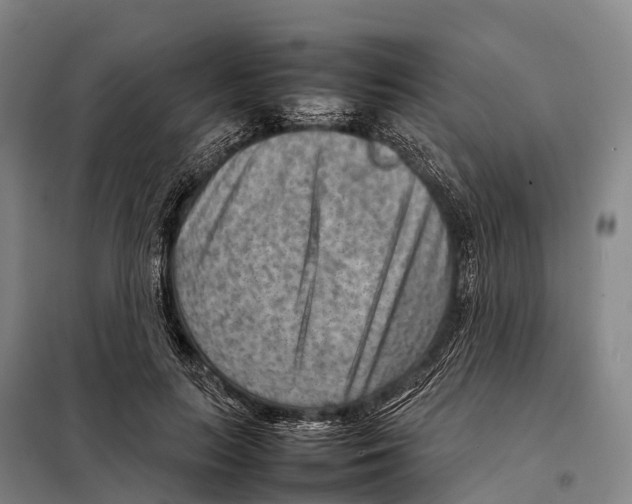 X0000098020647200804251138