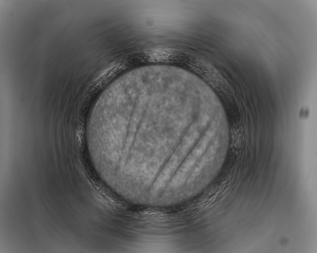 X0000098020648200804251138