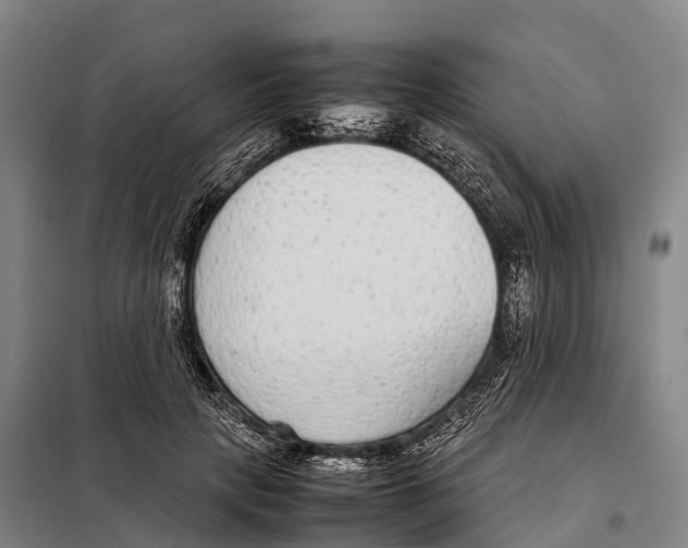 X0000098020649200804251138