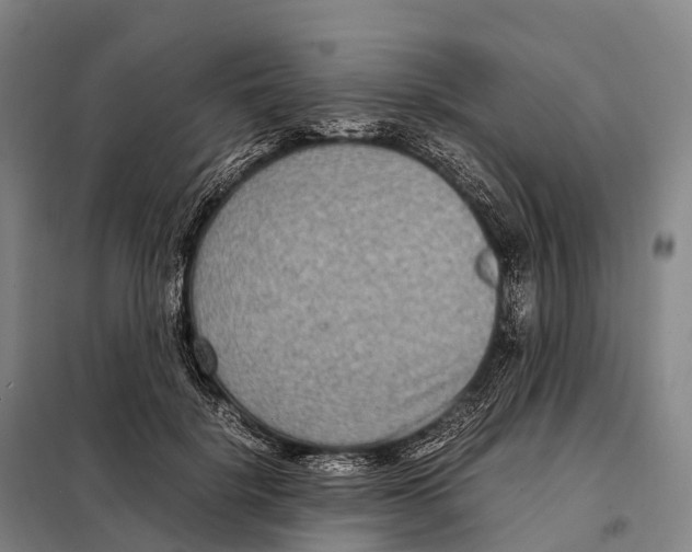 X0000098020652200804251138