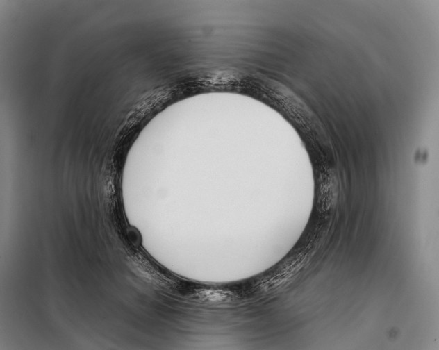 X0000098020654200804251138