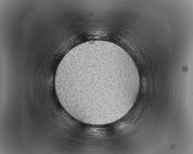 X0000098020657200804251138