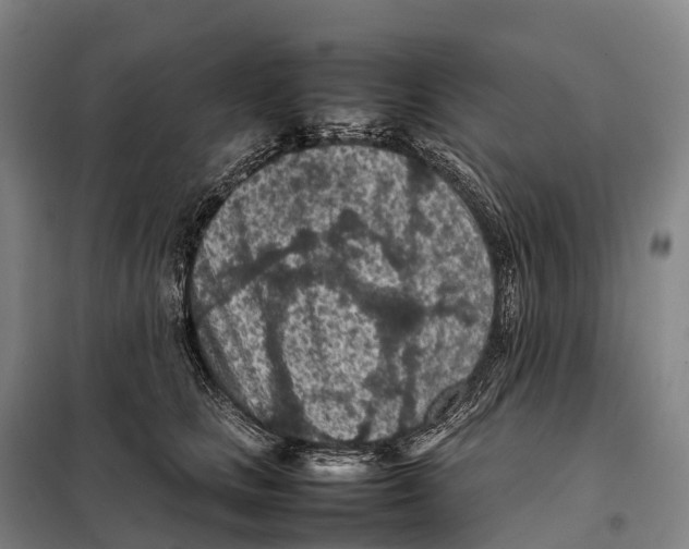 X0000098020661200804251138