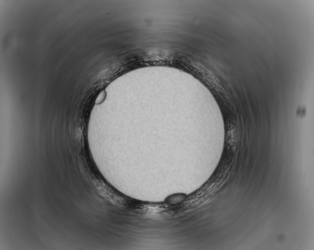 X0000098020662200804251139
