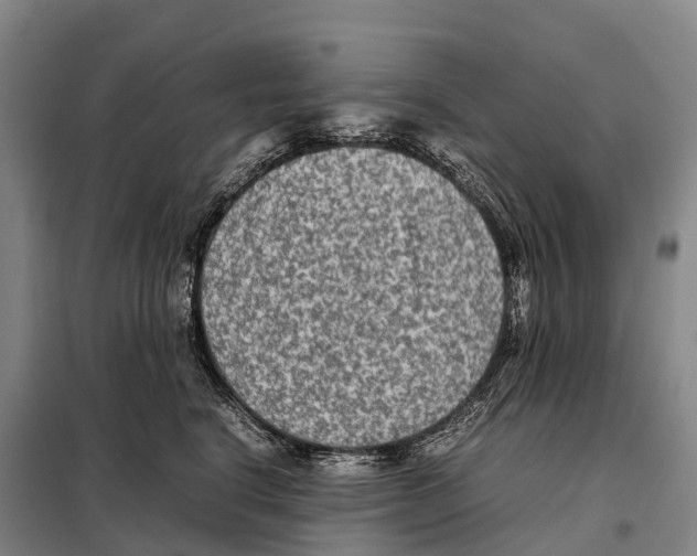 X0000098020664200804251139