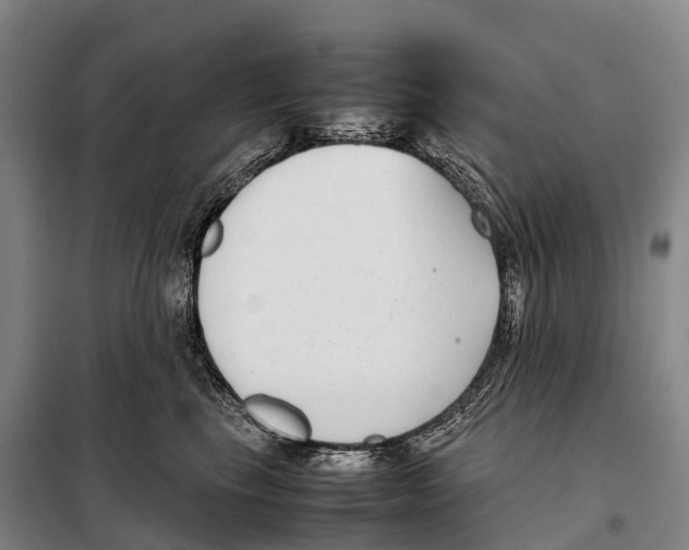 X0000098020665200804251139