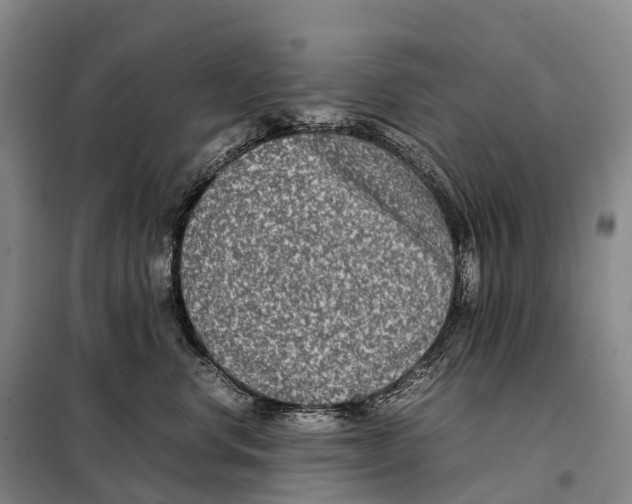 X0000098020668200804251139