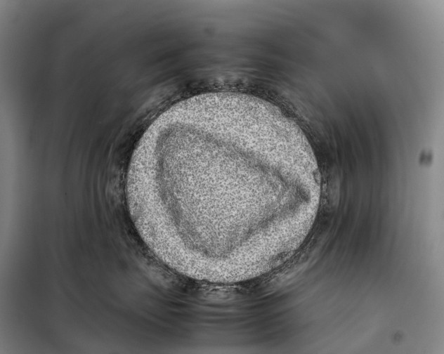 X0000098020671200804251139