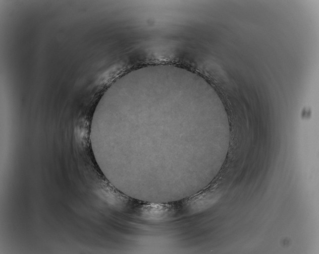X0000098020672200804251139