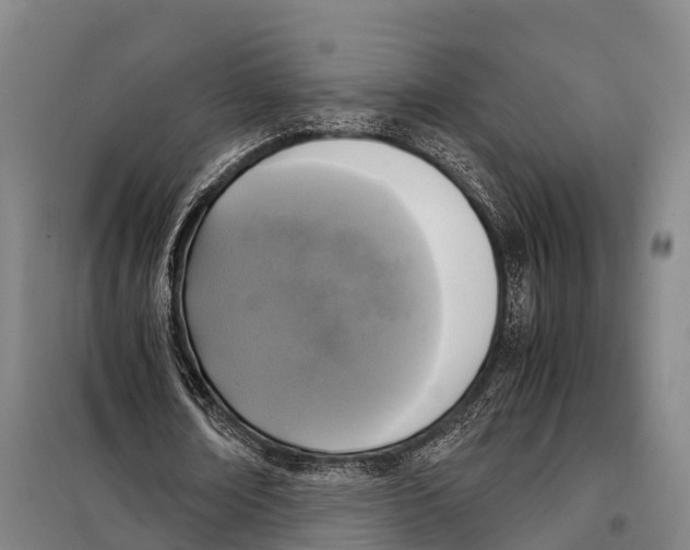 X0000098020674200804251138