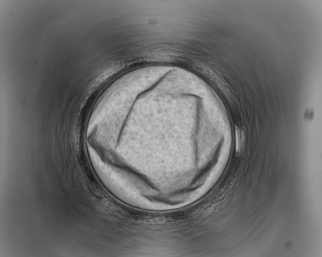 X0000098020675200804251138