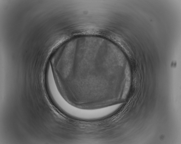 X0000098020677200804251138