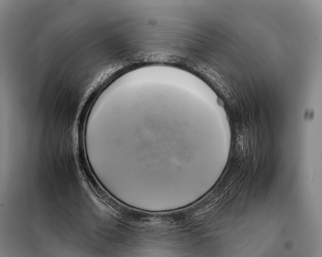 X0000098020678200804251138