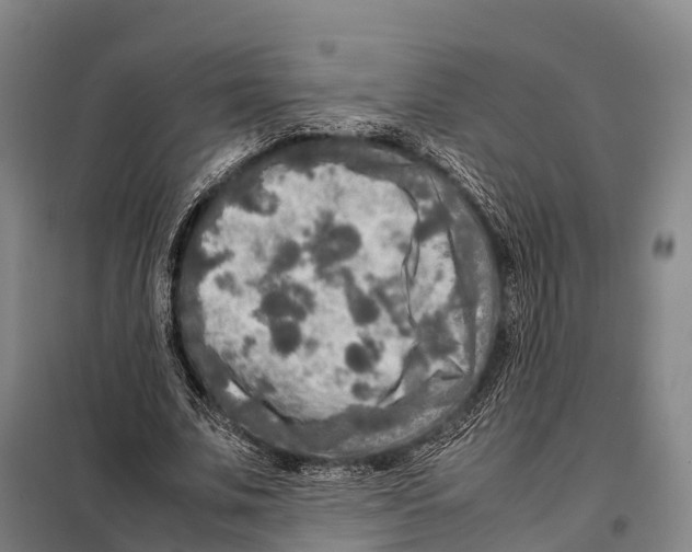 X0000098020679200804251138