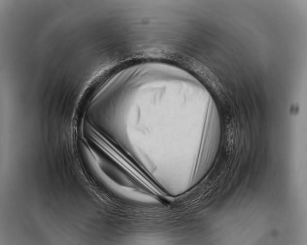 X0000098020680200804251138