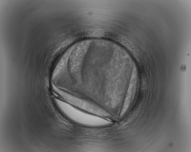 X0000098020681200804251138
