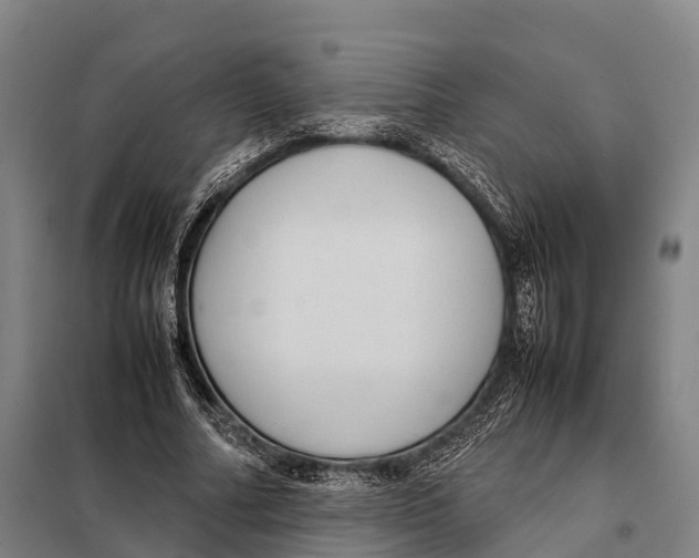 X0000098020682200804251138