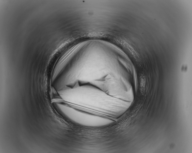 X0000098020684200804251138