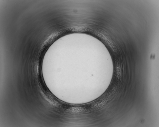 X0000098020686200804251138