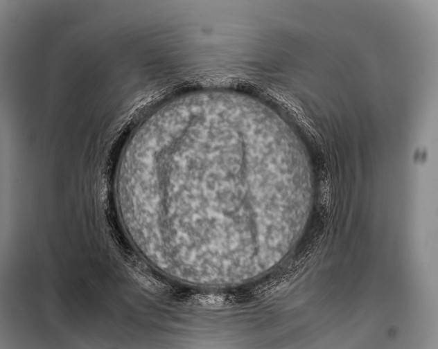 X0000098020687200804251138