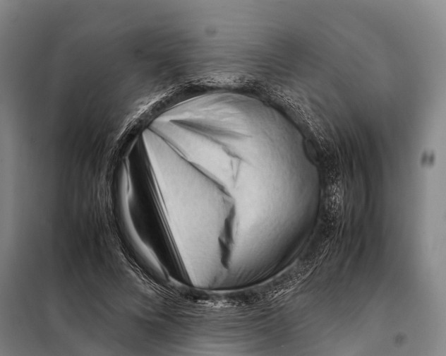 X0000098020688200804251138