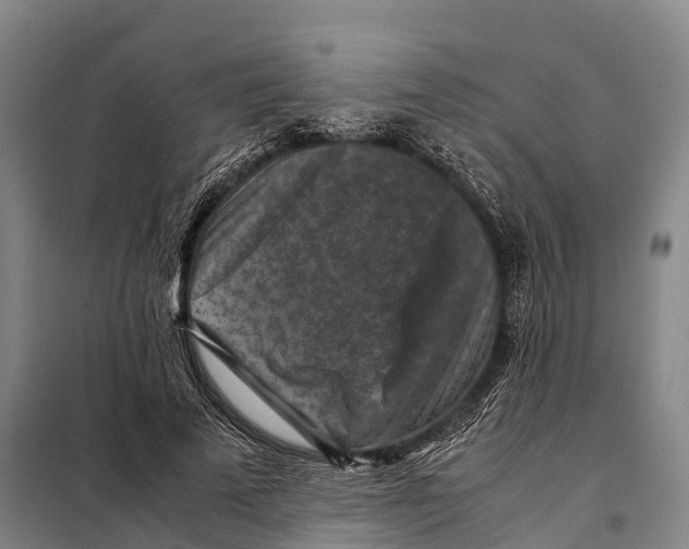 X0000098020689200804251138