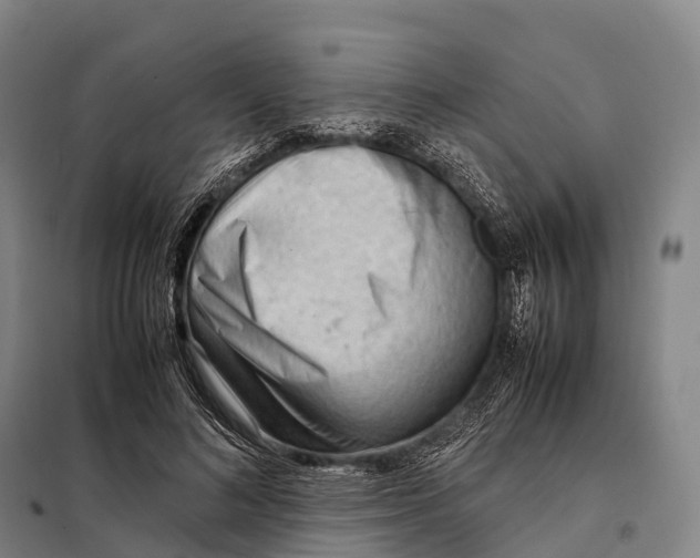 X0000098020692200804251137
