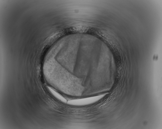 X0000098020693200804251137