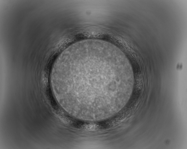 X0000098020695200804251137