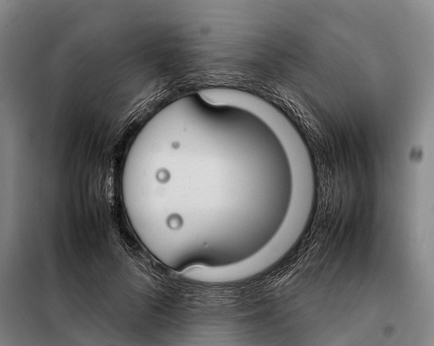 X0000098020696200804251137