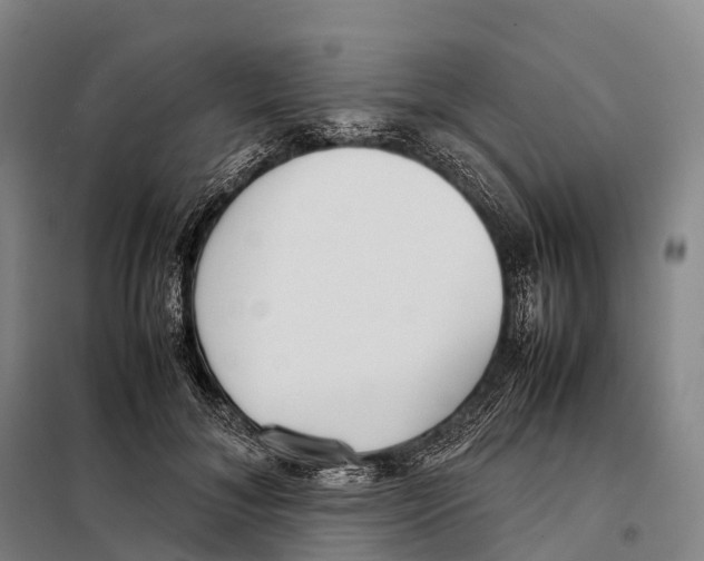 X0000098020700200804251137