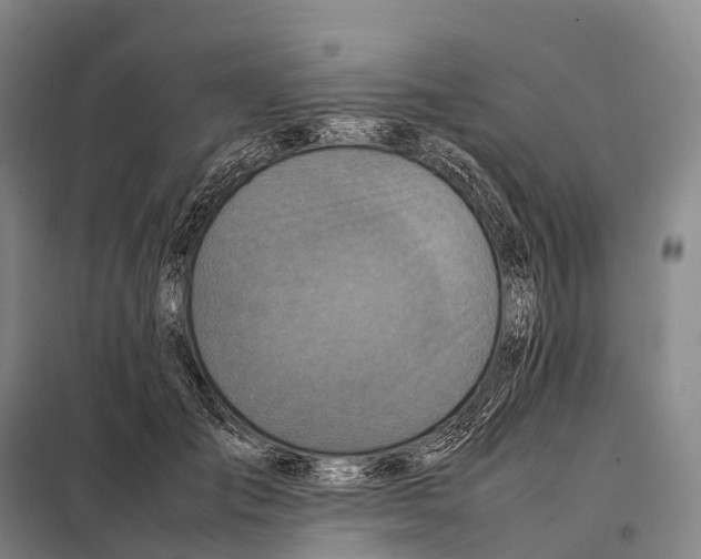 X0000098020701200804251137