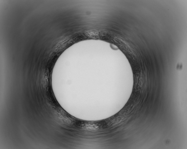 X0000098020702200804251137
